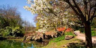 Batsford Arboretum